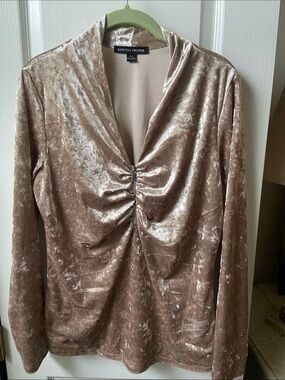 Boston Proper Crushed Velvet Long Sleeve Top in Taupe